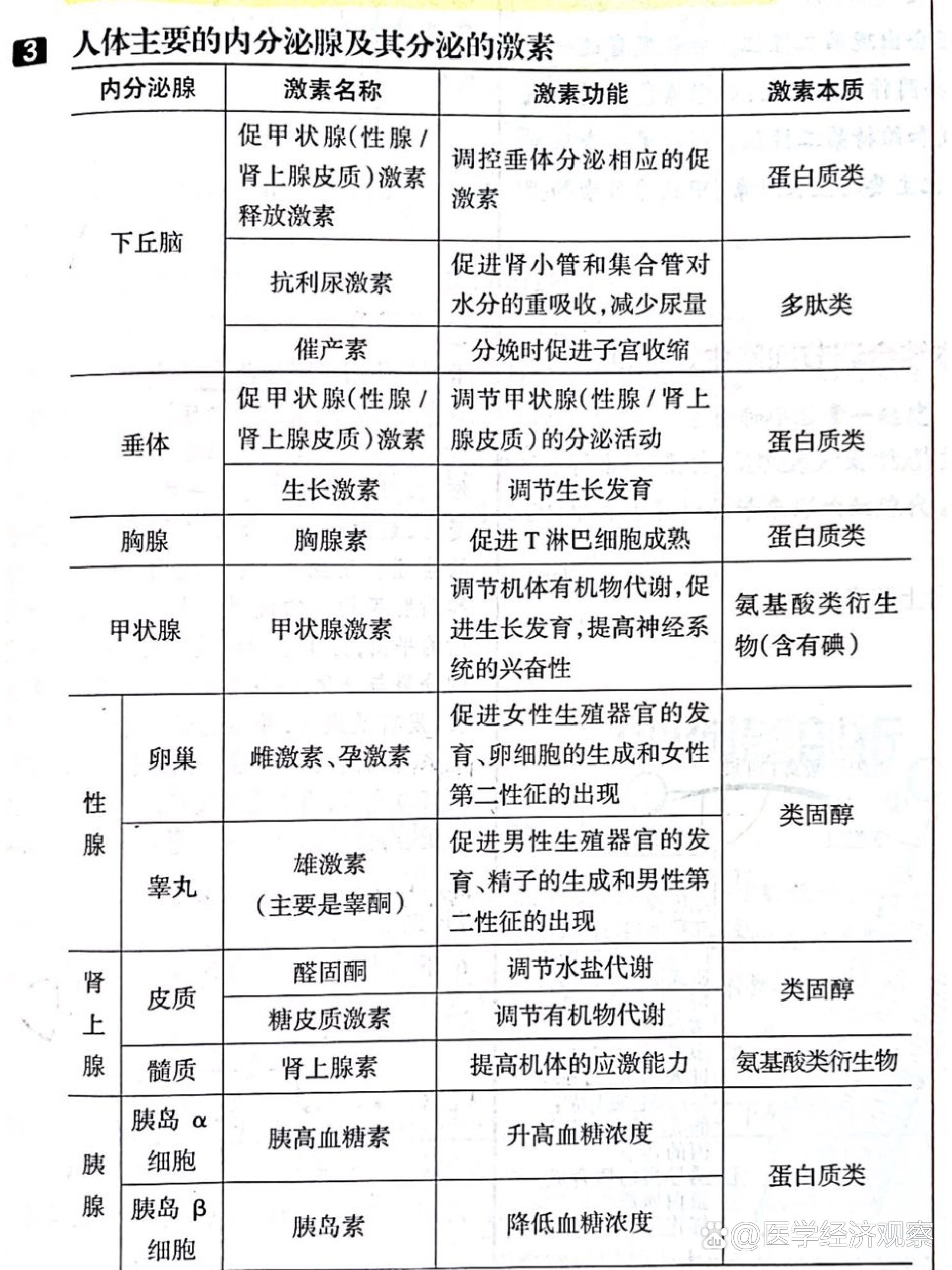 高中生物 人体主要内分泌腺及其分泌的激素