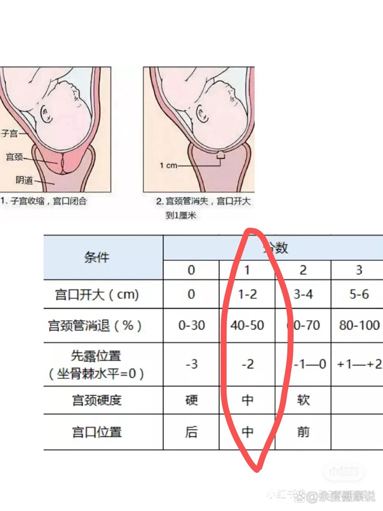 8 6预产期