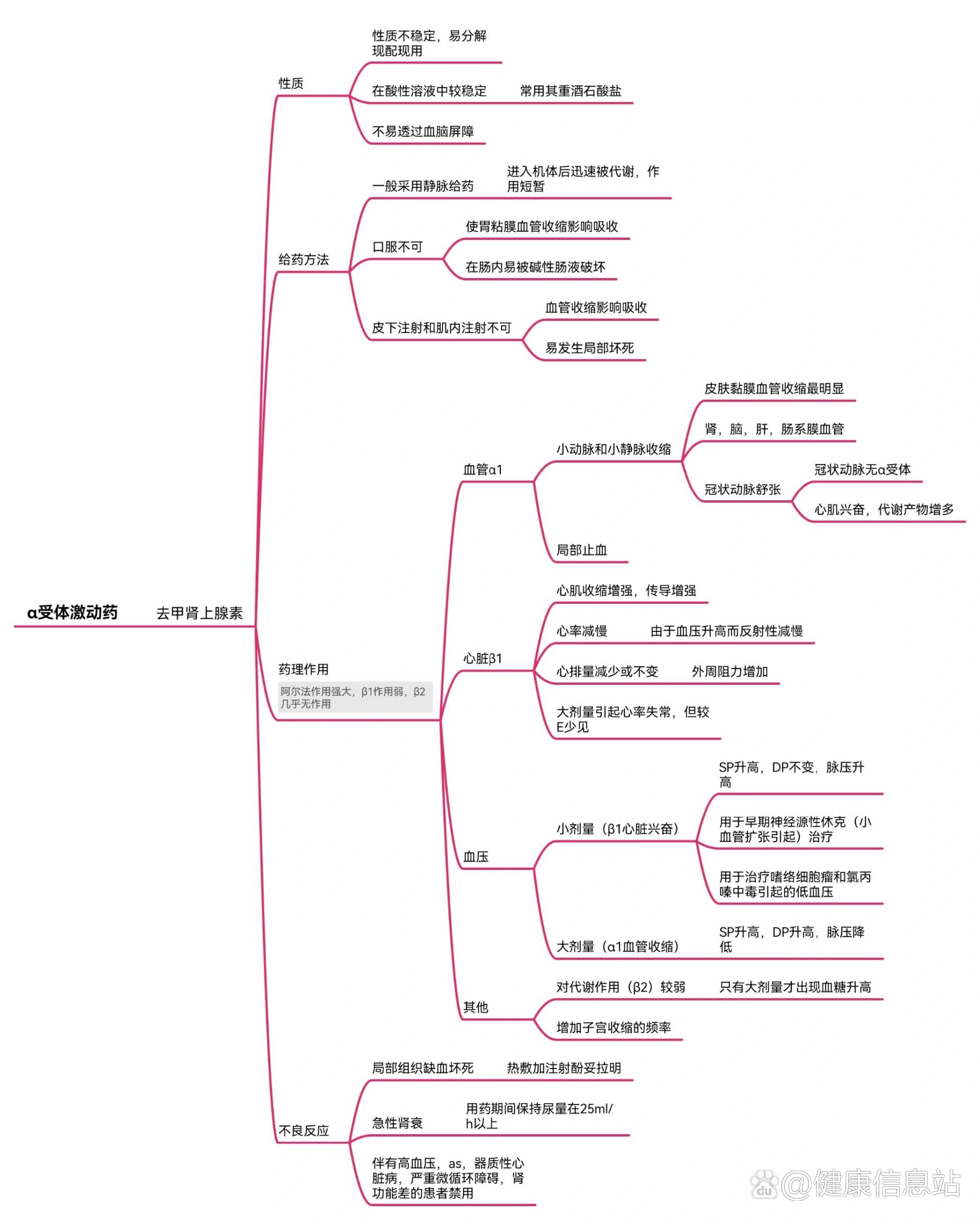 肾上腺素受体思维导图图片