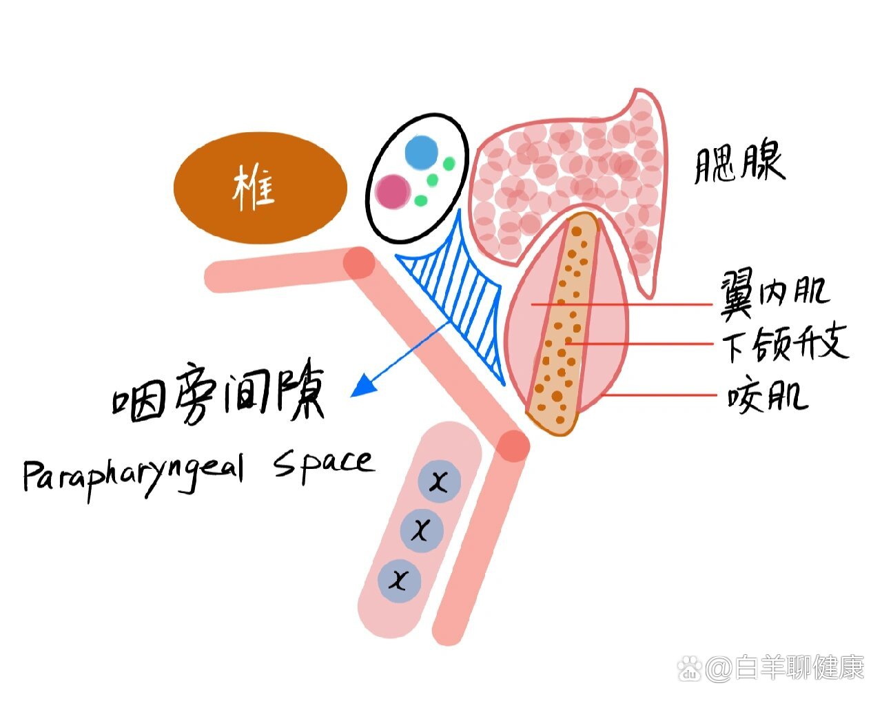 顶间隙侧间隙示意图图片