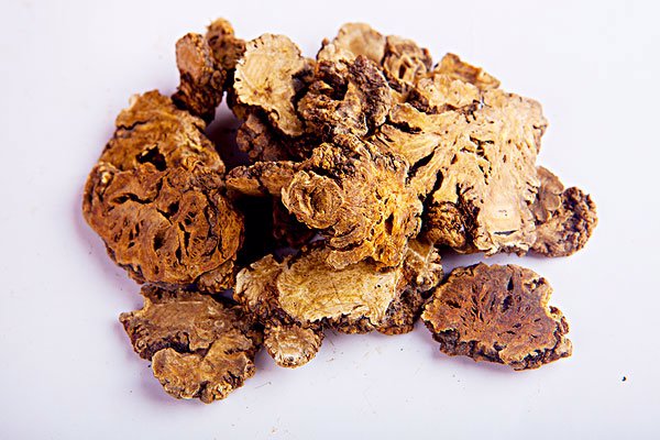 熊胆的功效与作用有哪些