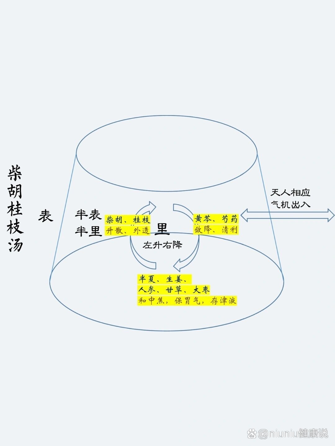 麻黄桂枝柴胡汤图片