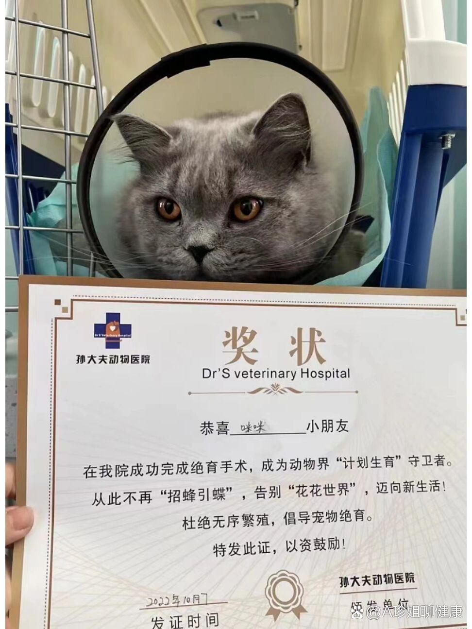 北京阜外医院、价格亲民,性价比高贩子电话_跑腿挂号轻松搞定!的简单介绍 北京阜外医院、价格亲民,性价比高贩子电话_跑腿挂号轻松搞定!的简单介绍