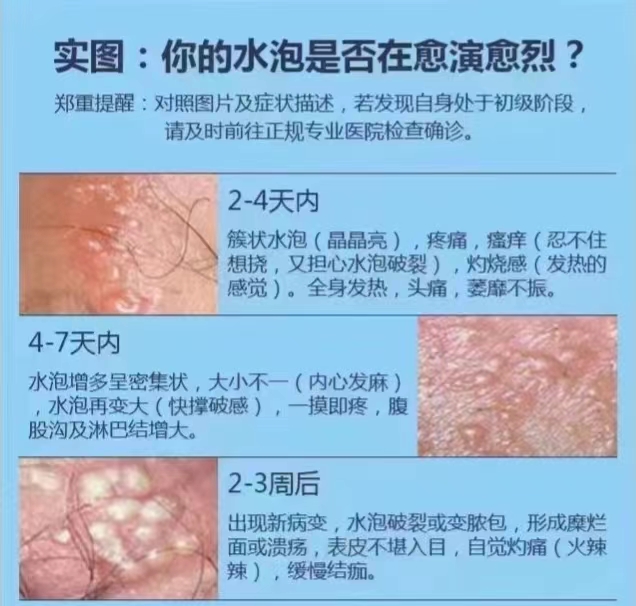 全网资源