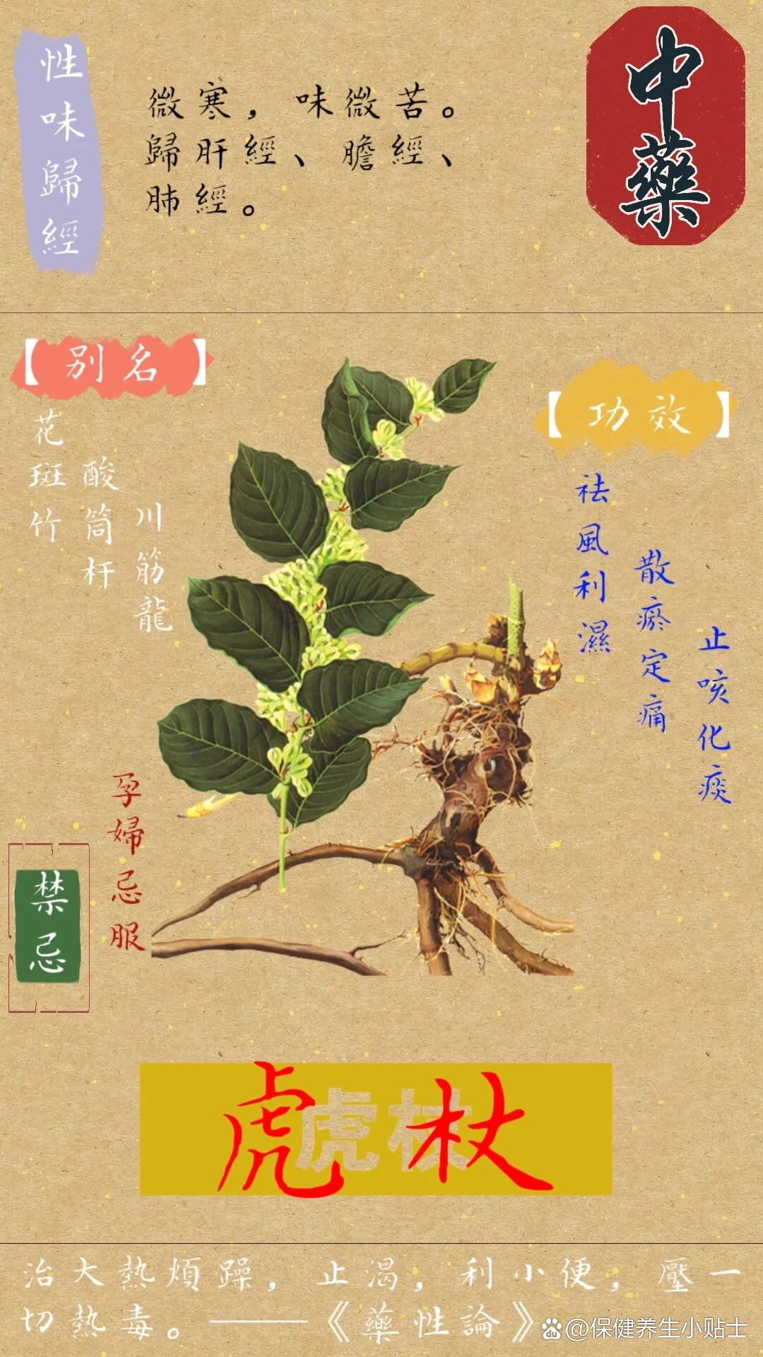 老虎藤药用价值图片