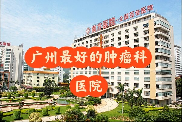 广东省人民医院南方医院中山大学附属肿瘤