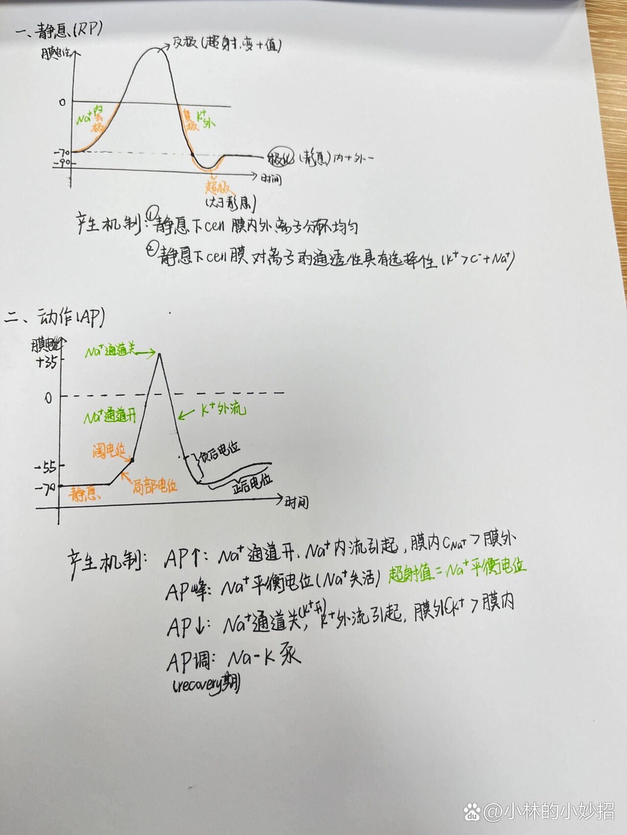 静息电位模式图图片