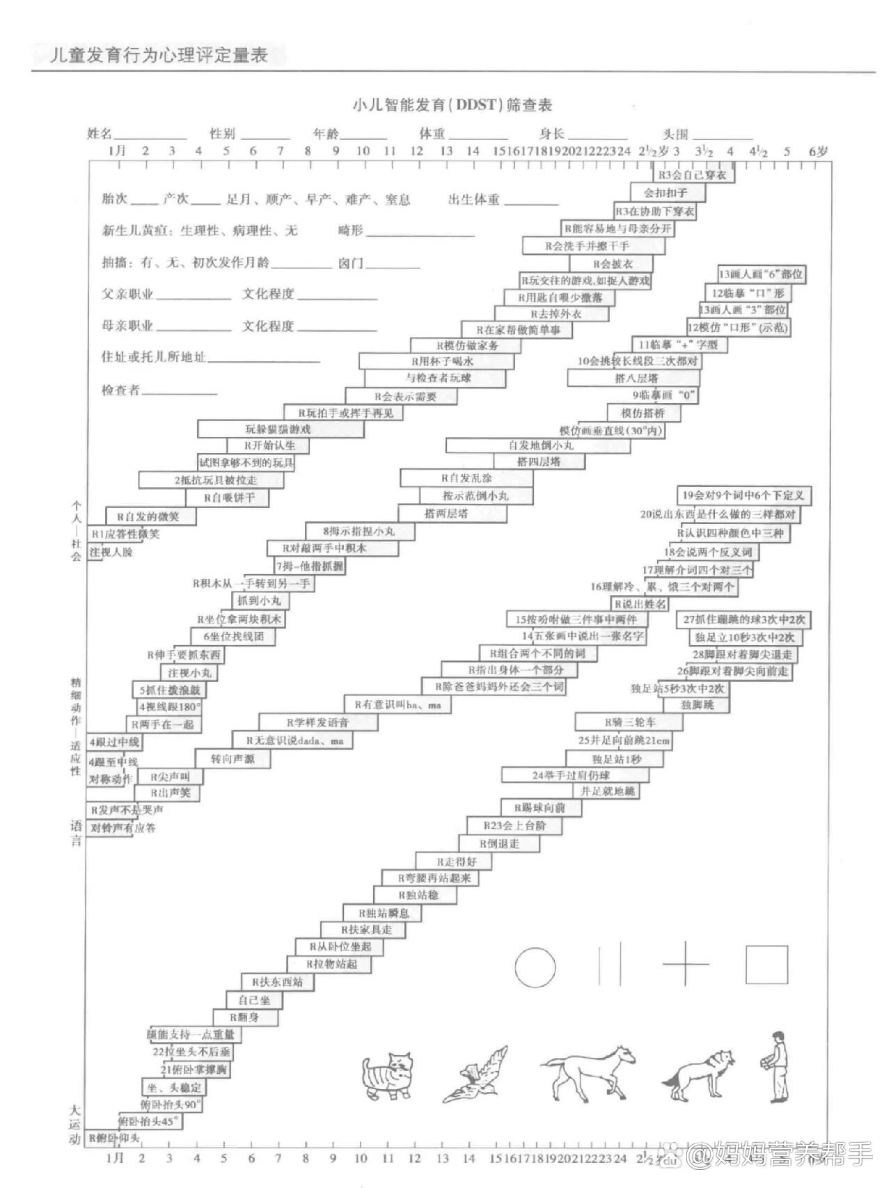 ddst发育量表图图片