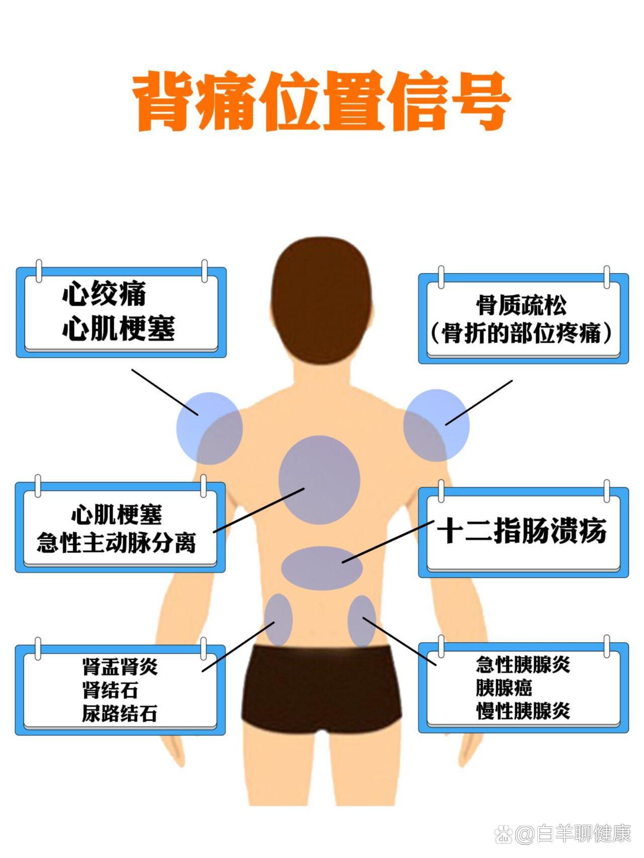 一张图告诉你