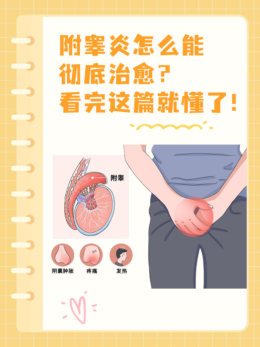 附睾炎怎么能彻底治愈?看完这篇就懂了!