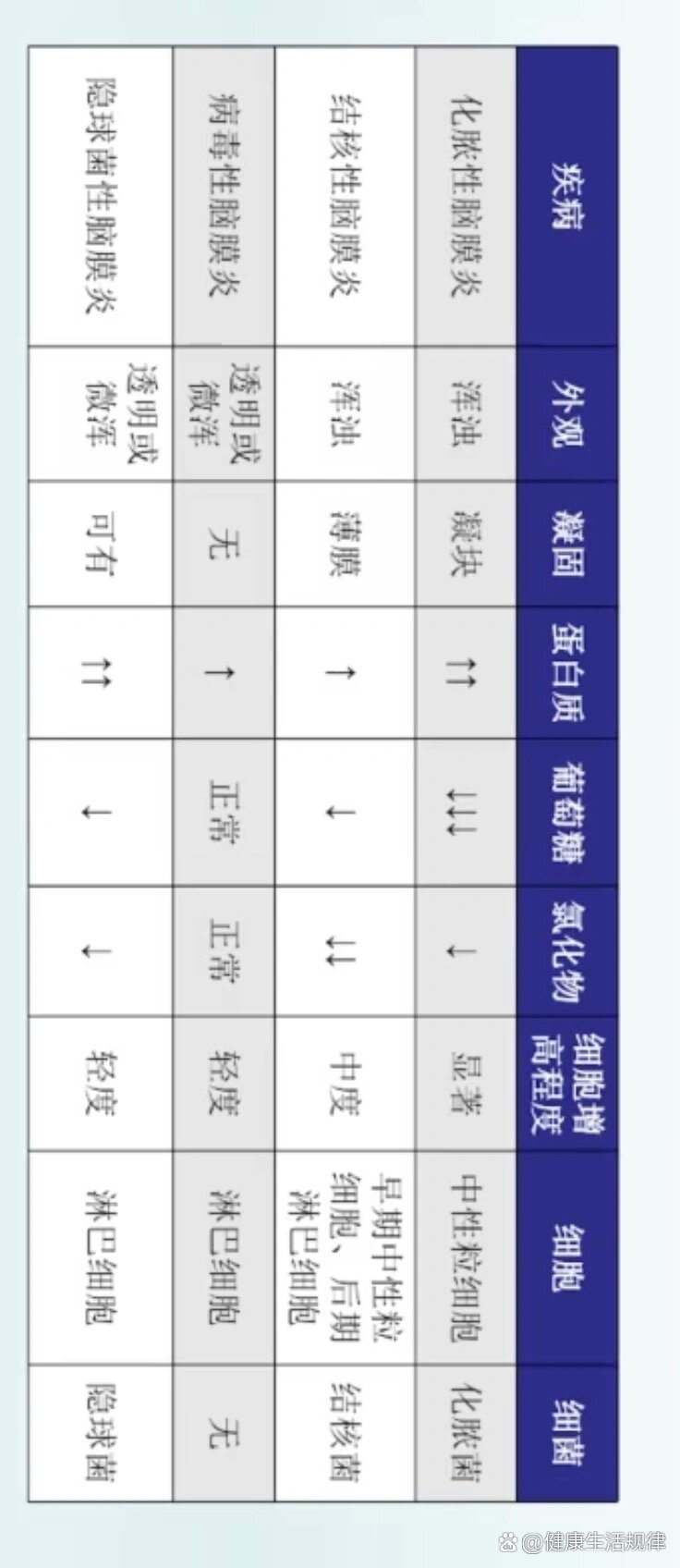常见脑膜炎的性状对比,检验倒计123天