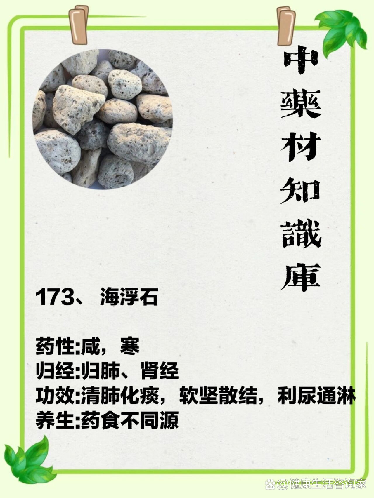 药食不同源之海浮石