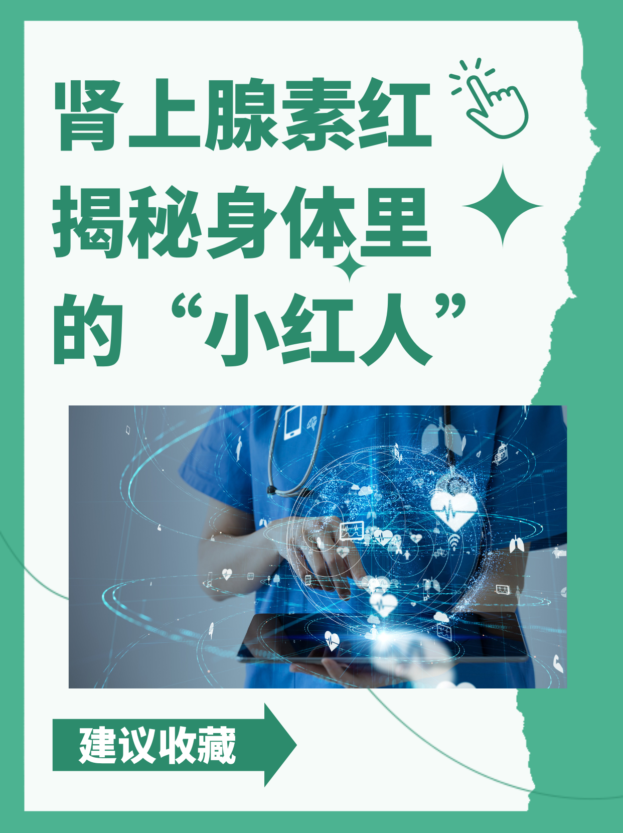 肾上腺素红?揭秘身体里的"小红人"92