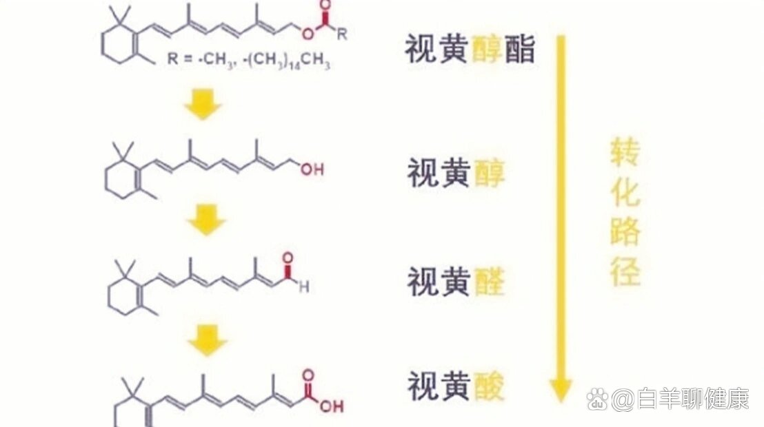 早c晚a:维a酸,a醇,a醛,a酯傻傻分不清①