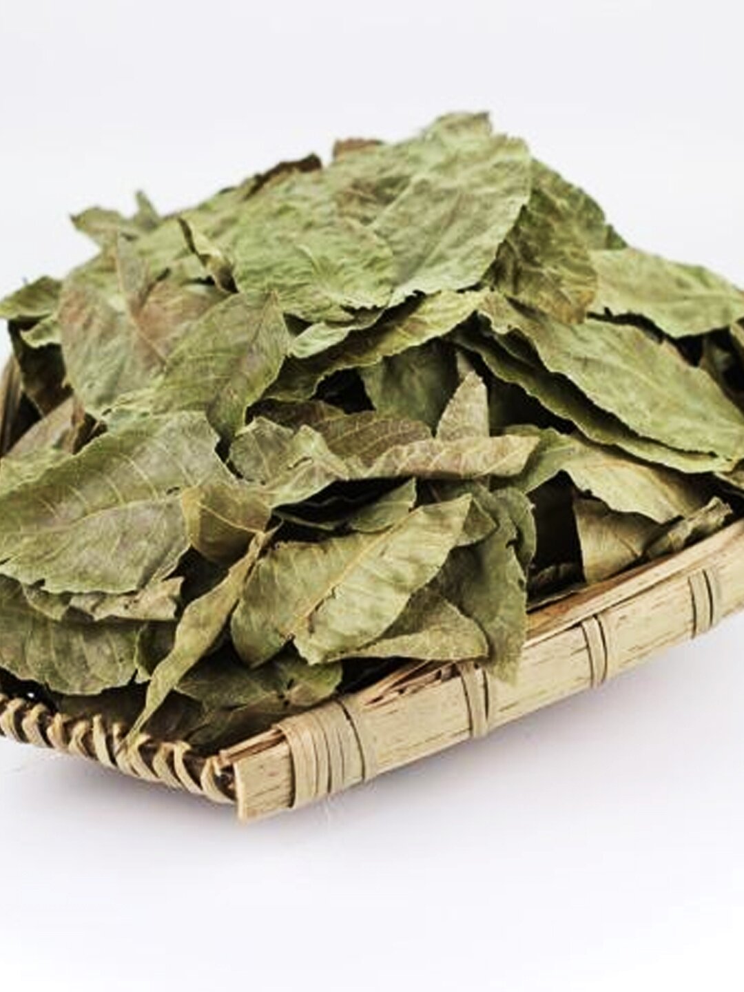 每天认识一味中药材02青钱柳