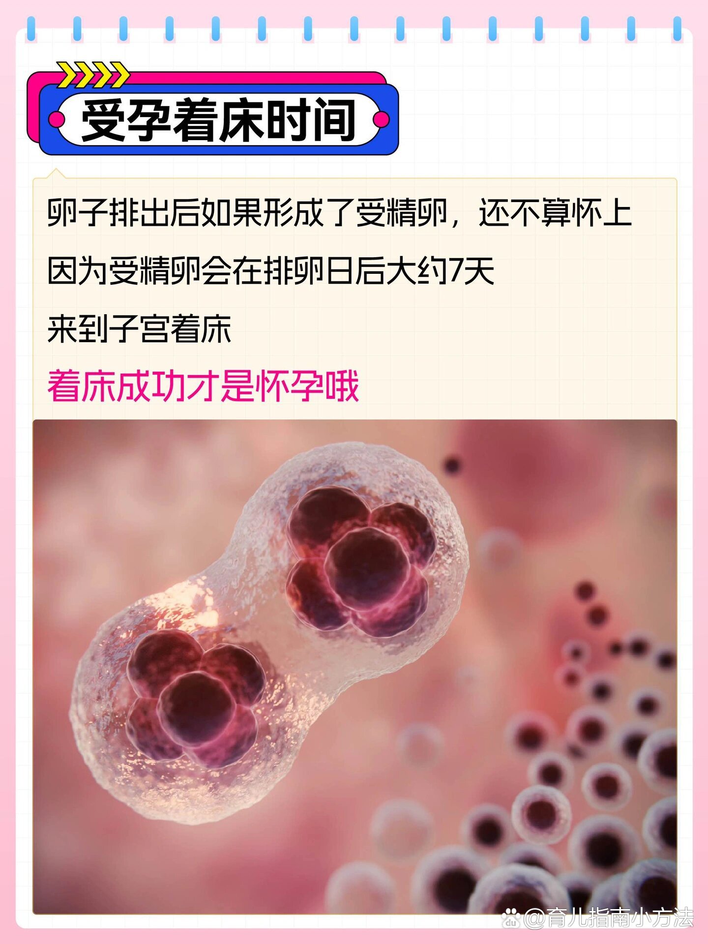  br>我备孕前根本不知道 br>受孕着床是在排卵后一周发生的!