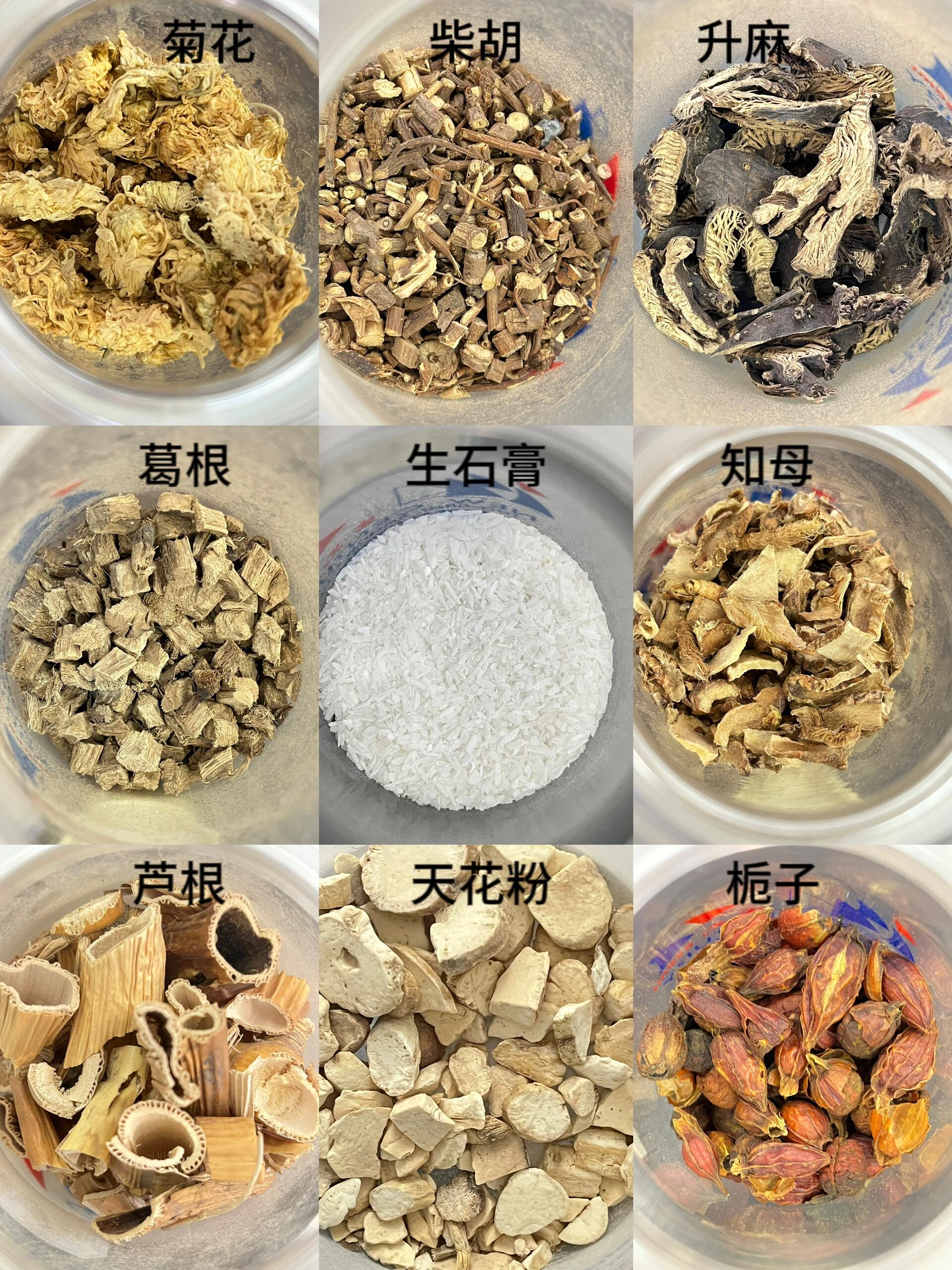 91中药饮片辨识课(常考的60味中药)