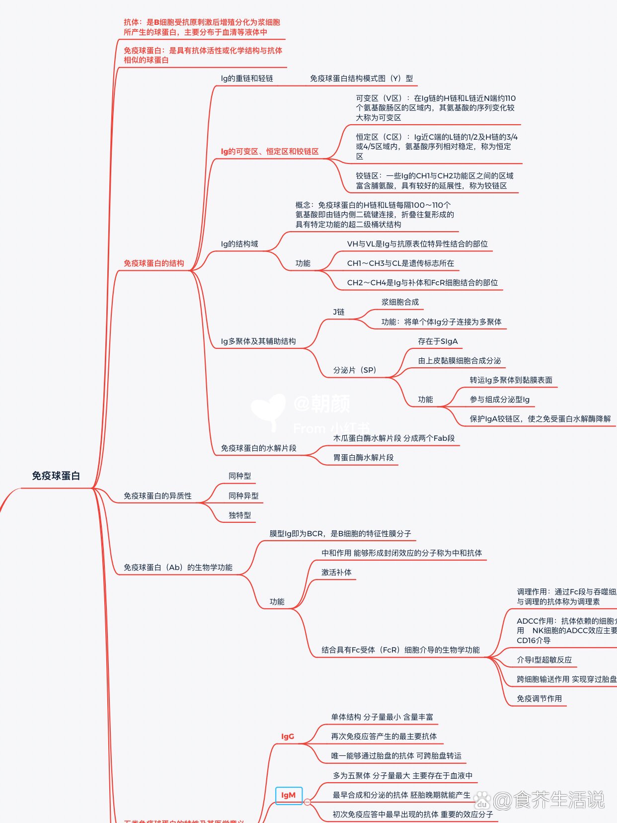 固有免疫思维导图图片