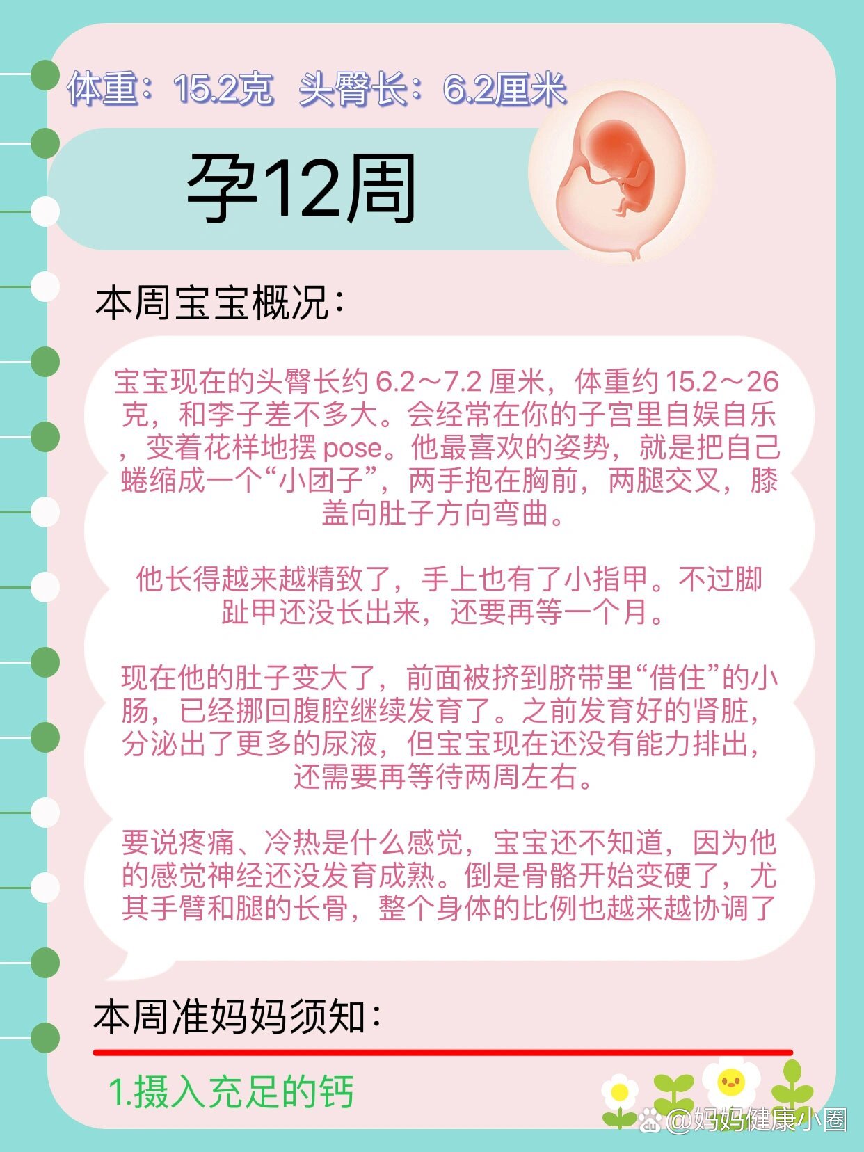 12周头臀径标准对照表图片