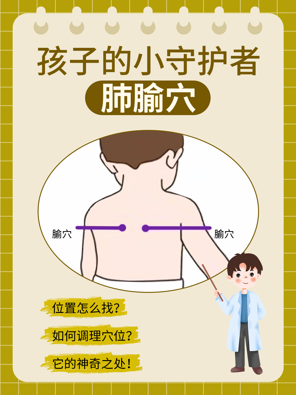 双肺准确位置图片图图片