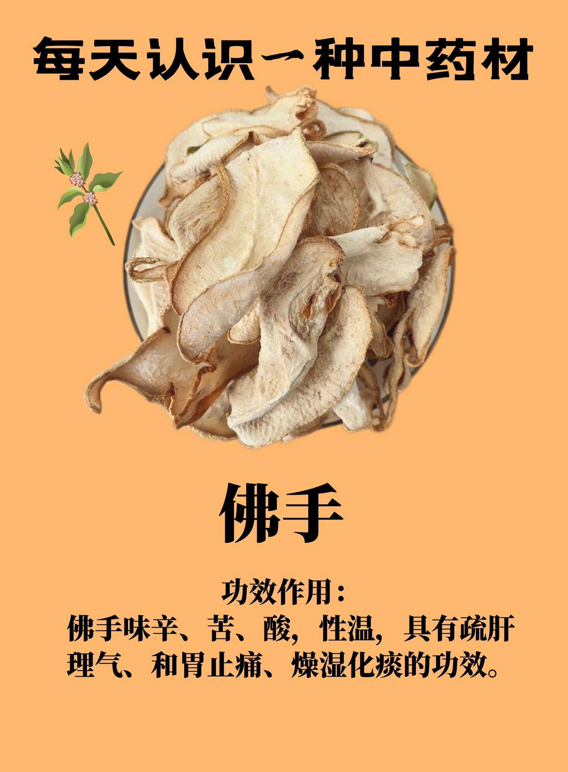 p>每日认识一种中药材:佛手 br>功效与作用 br>和胃止痛,燥湿化痰