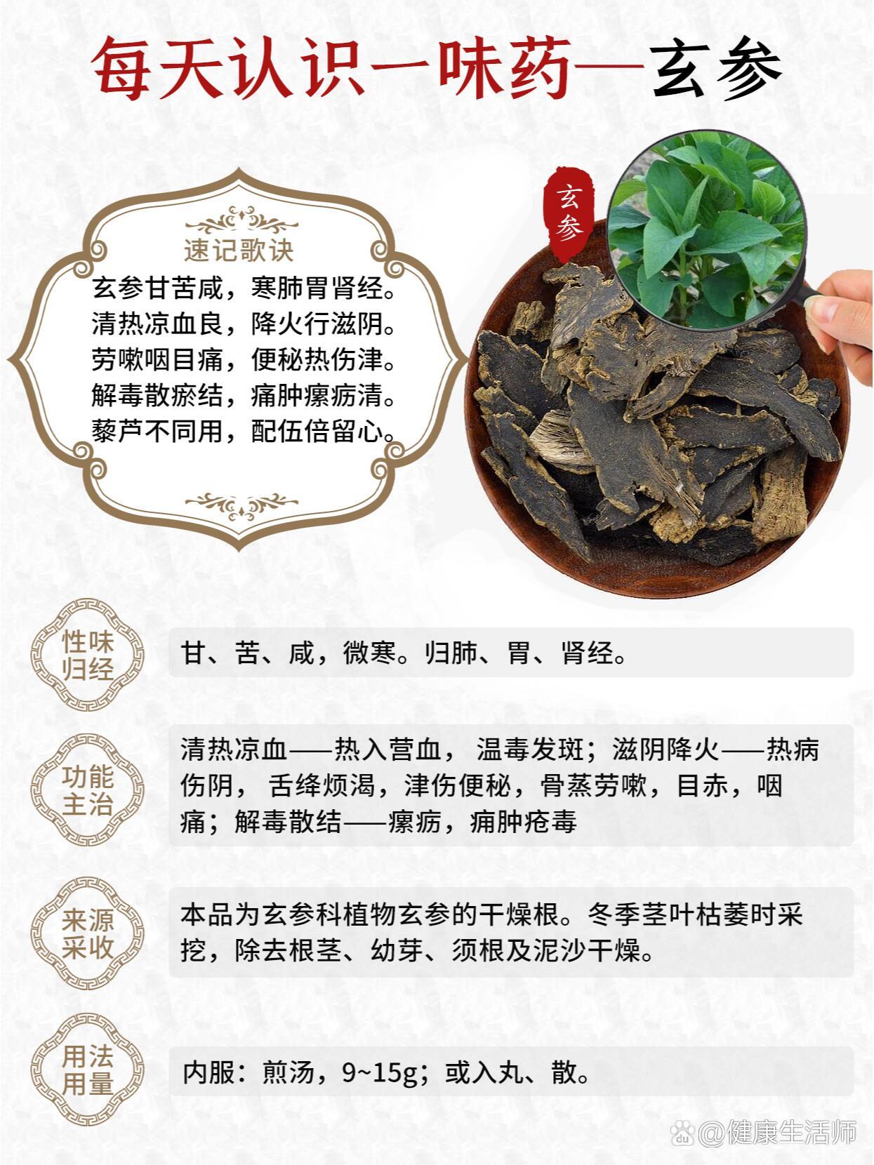 玄参肝肾毒性图片