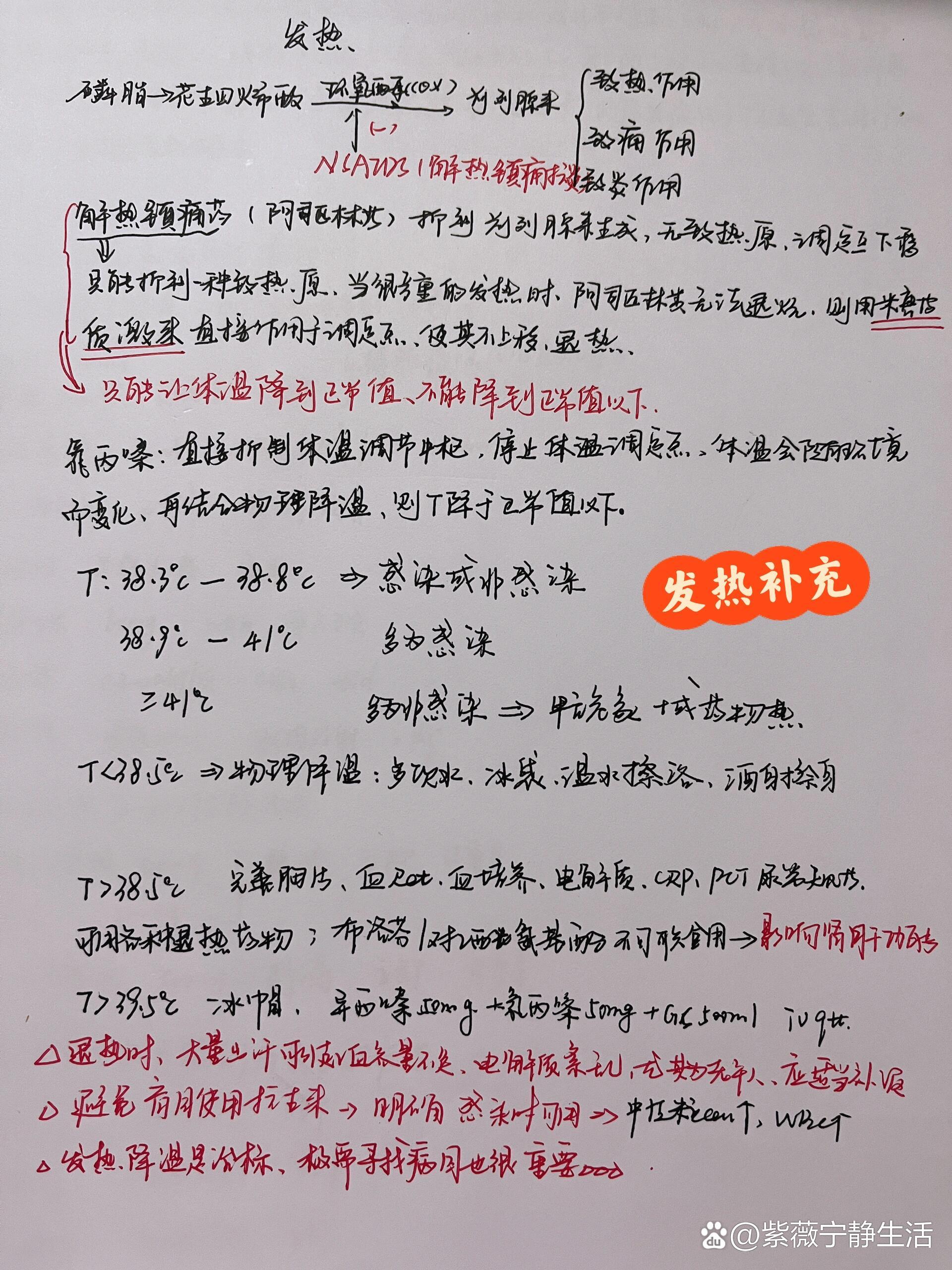 发热-7|发热机制补充