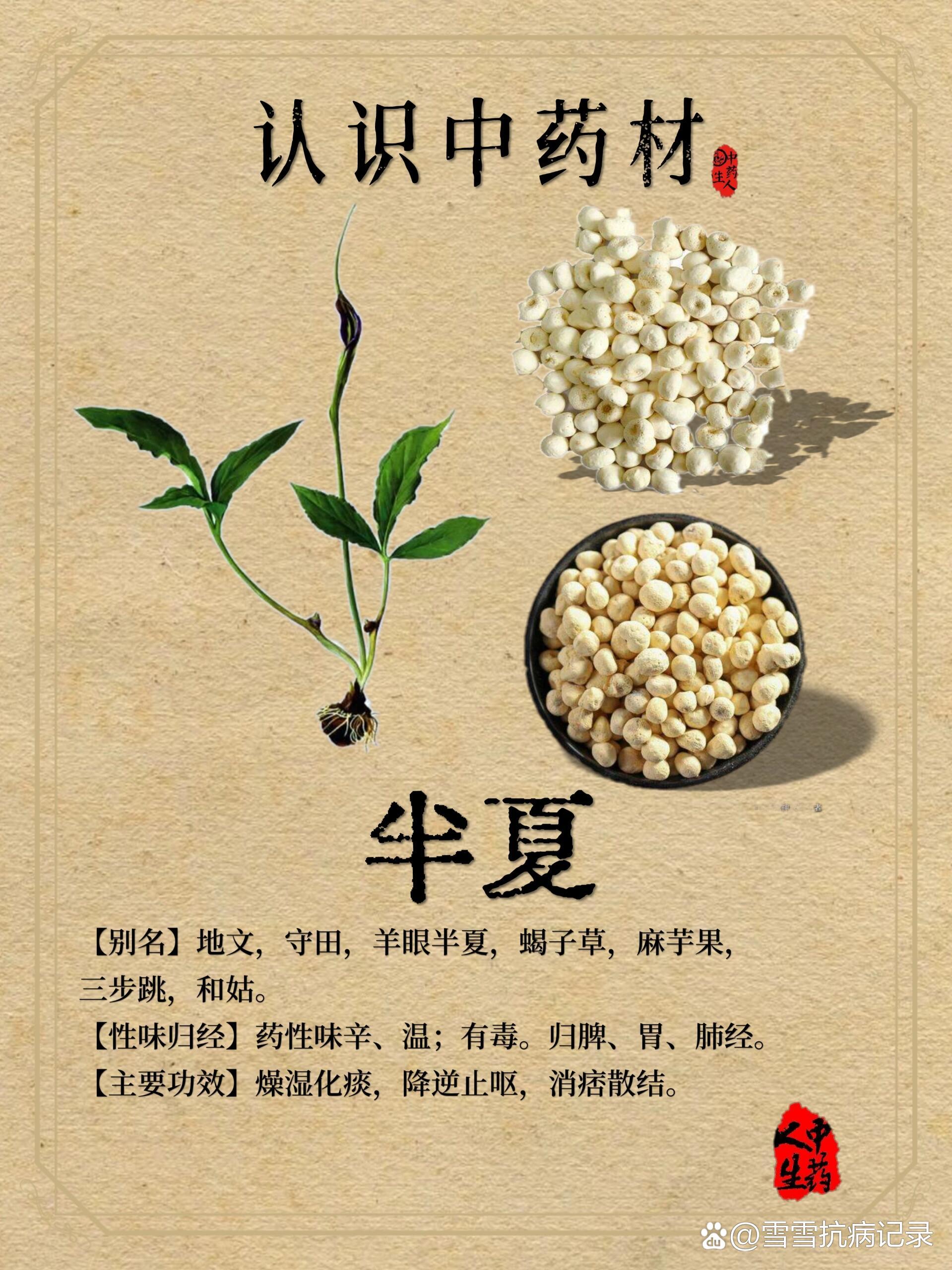 葛根加半夏汤方歌图片