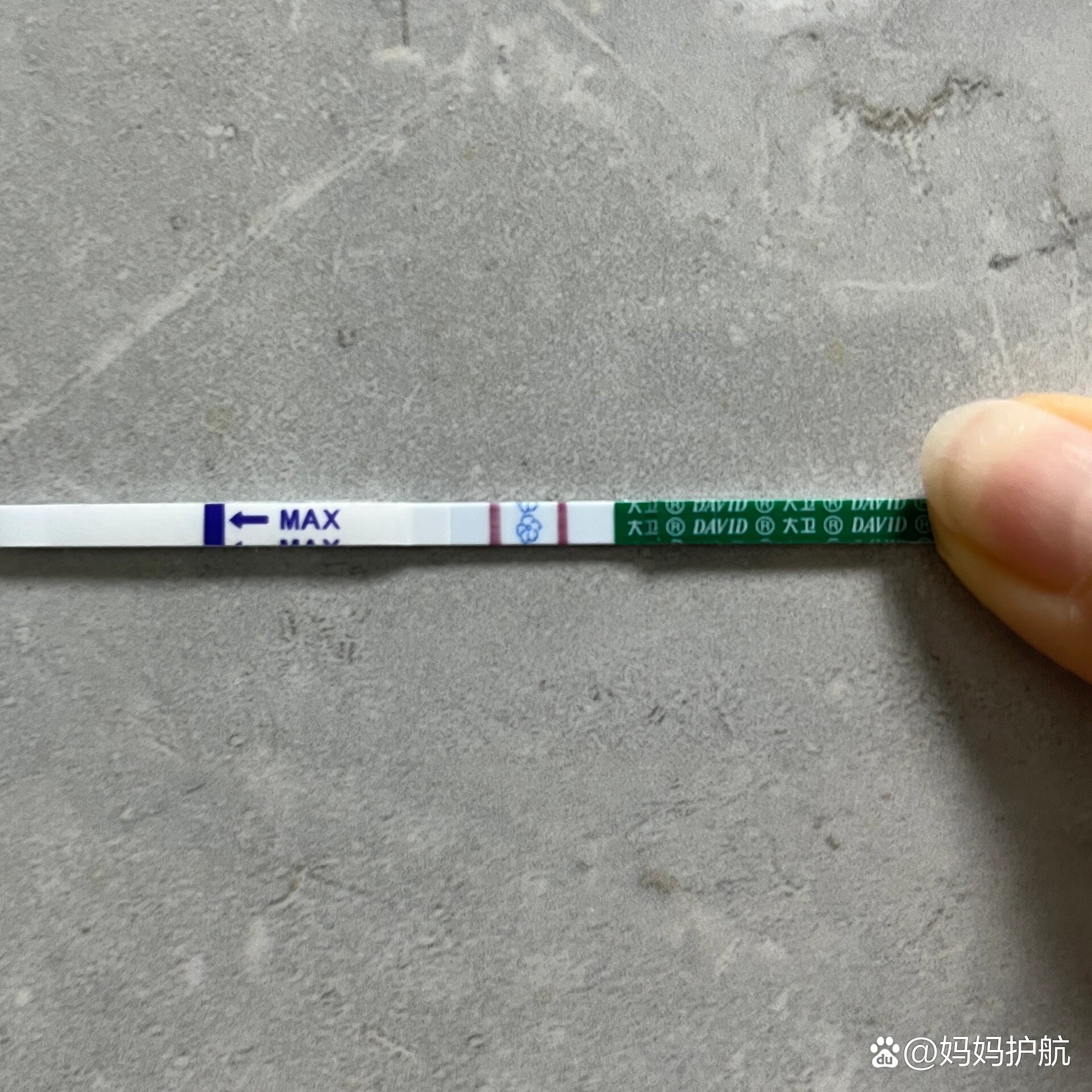 hcg血值对比/终于强阳了