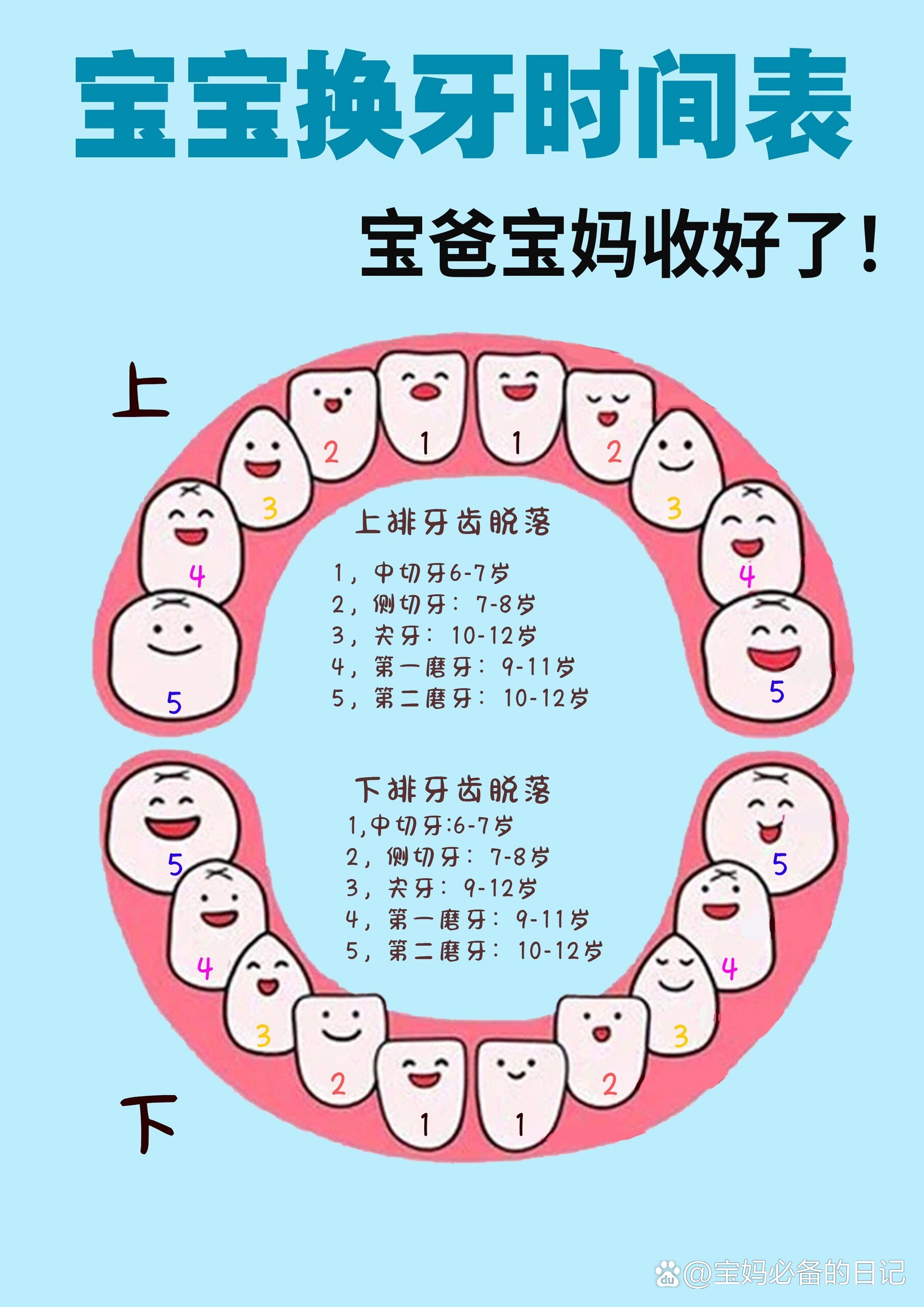 宝宝换牙注意事项图片