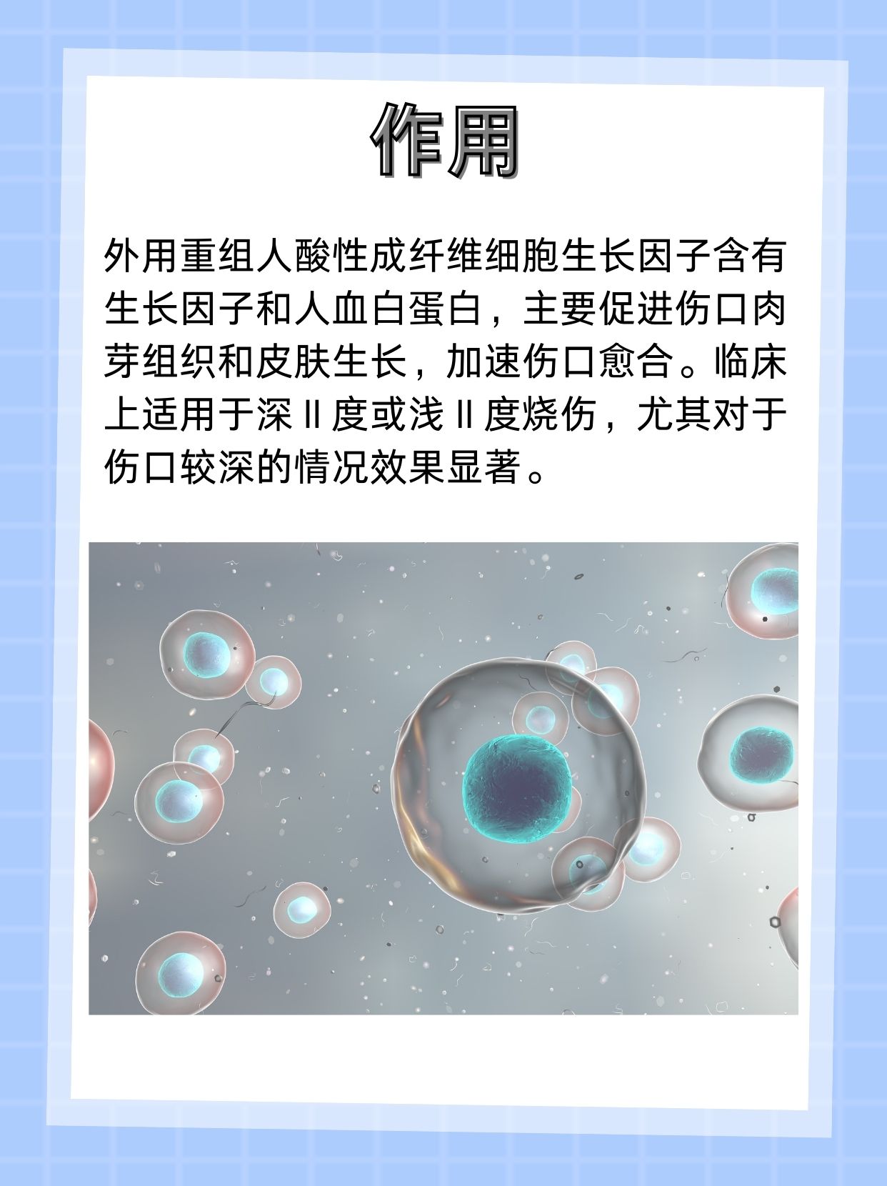 重组人碱性成纤维细胞生长因子大揭秘!