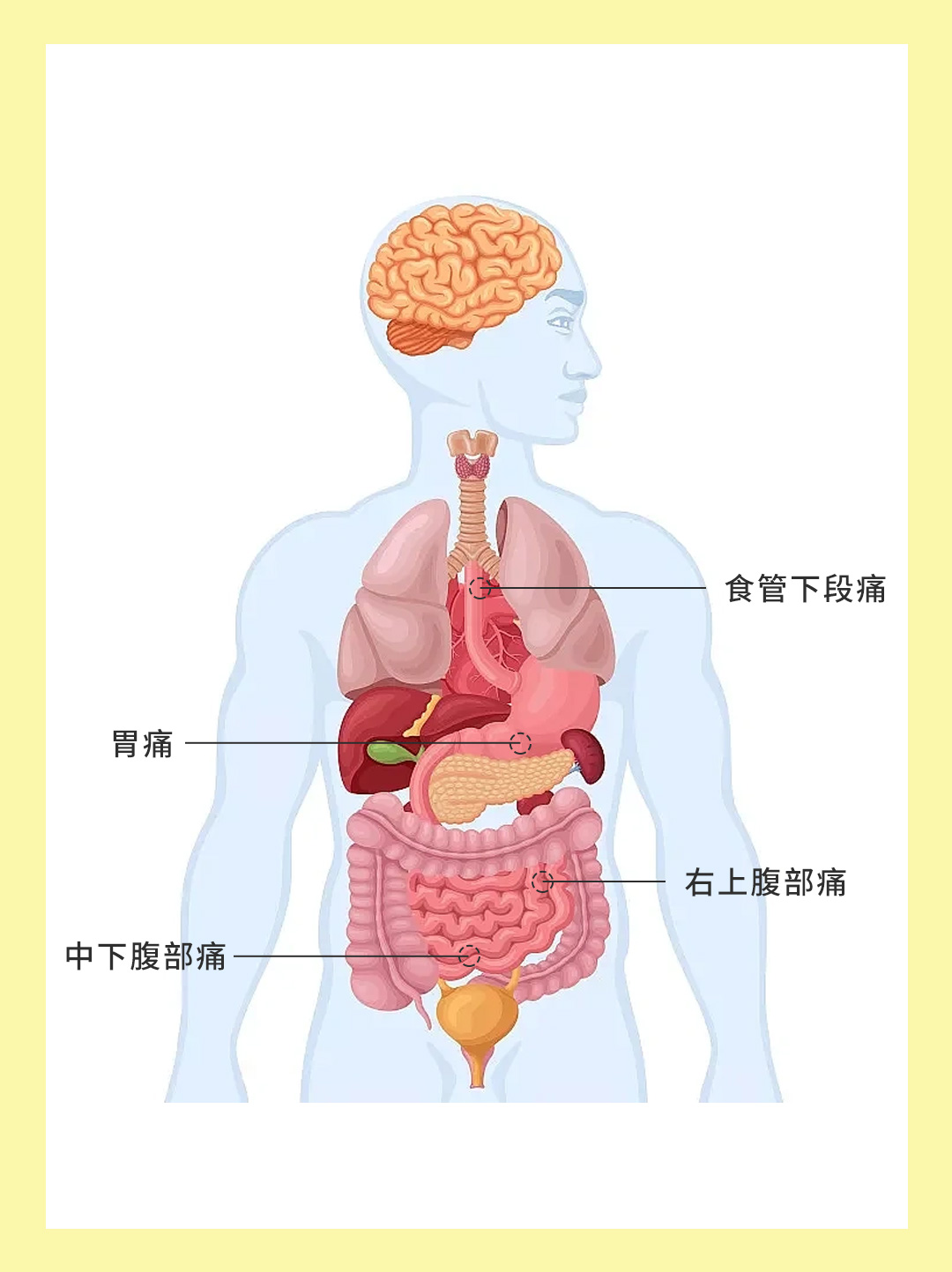 胃痛和胃癌痛别傻傻分不清