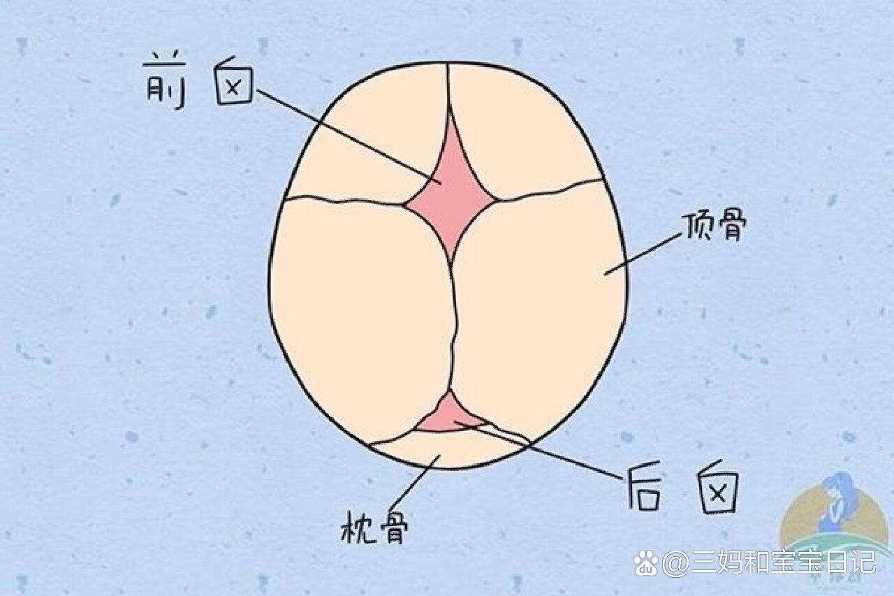 骨缝 全网资源