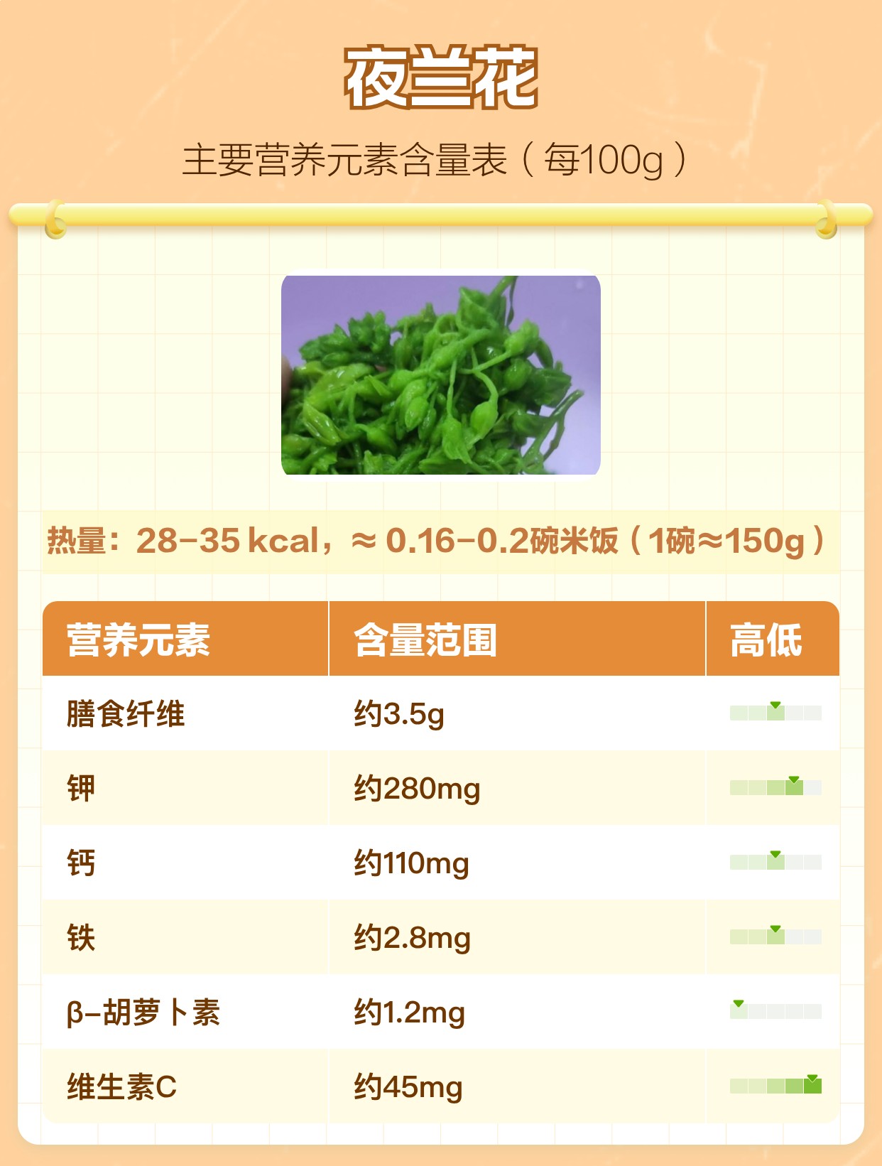 夜兰花的功效与作用及禁忌 | 百度健康·医学科普