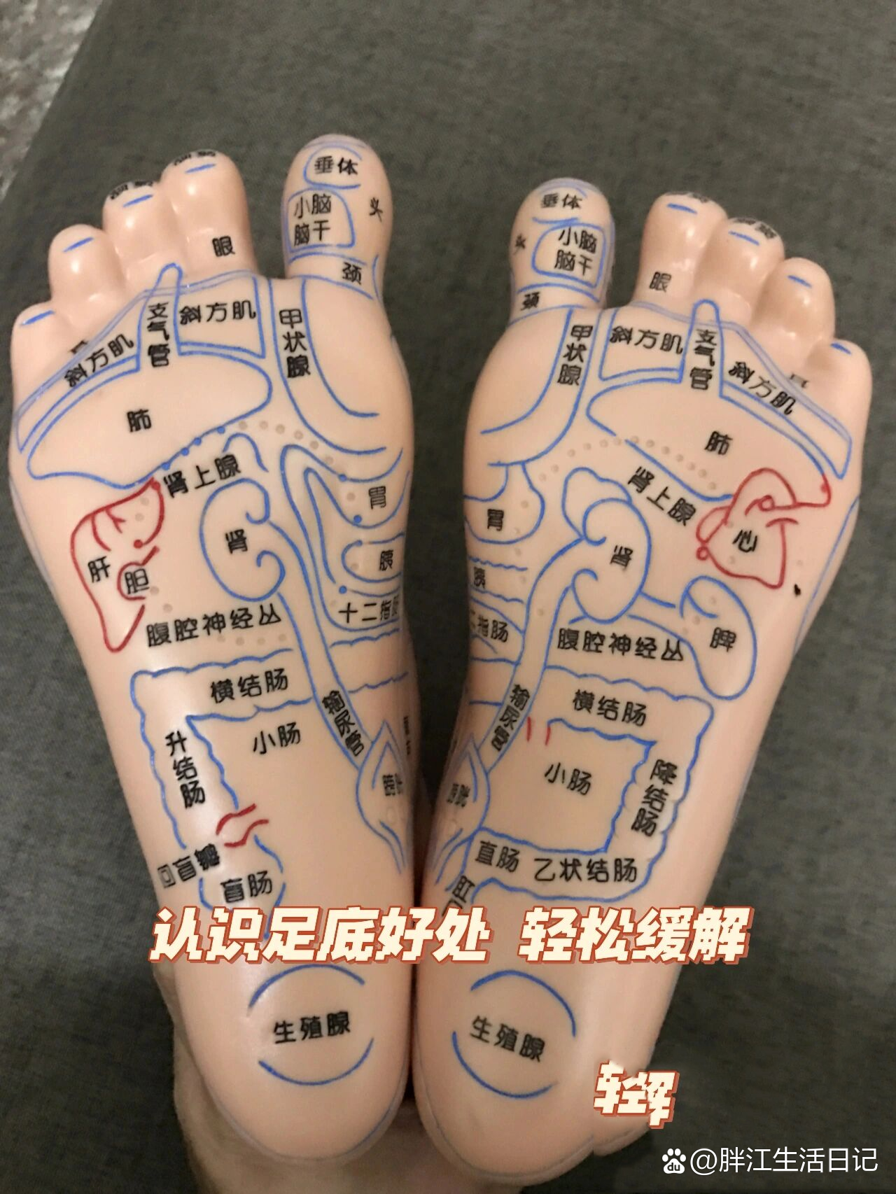 足部按摩初学图片