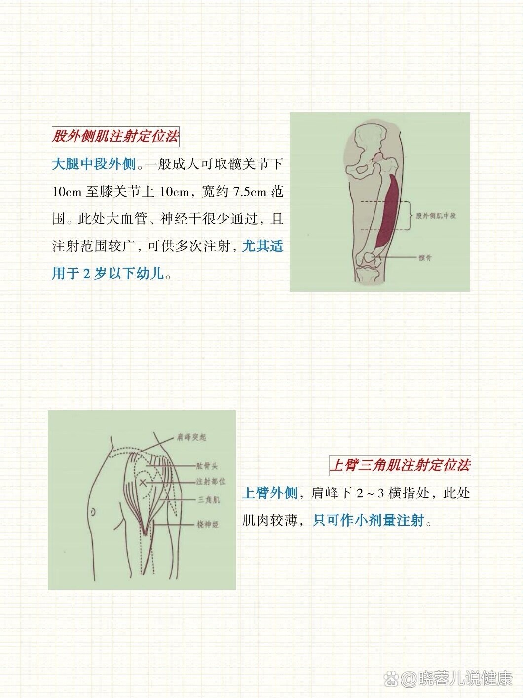 护理专业备考之肌内注射定位法