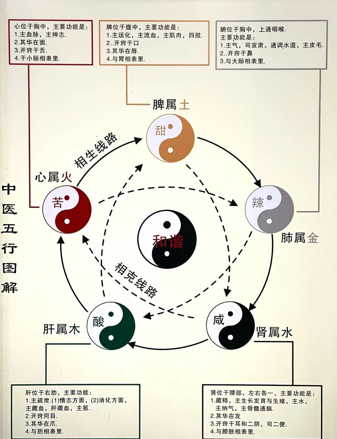 中医五行与五脏六腑的神秘关系图解