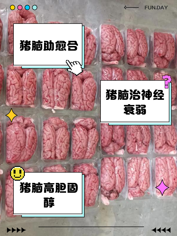 猪脑的功效与作用危害有哪些