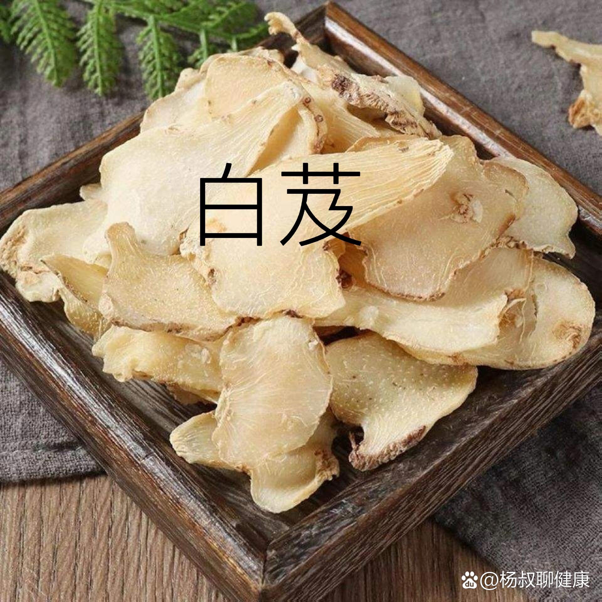 白芨图片功效与作用图片