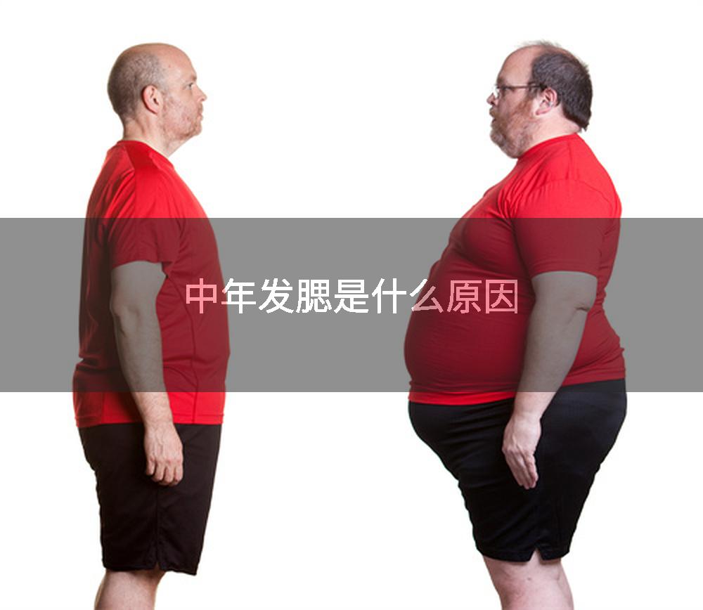 中年发腮是什么原因