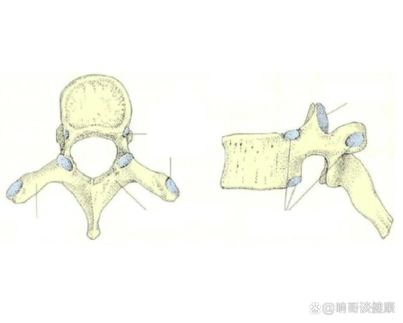 br 结构特点   br 110连接肋93