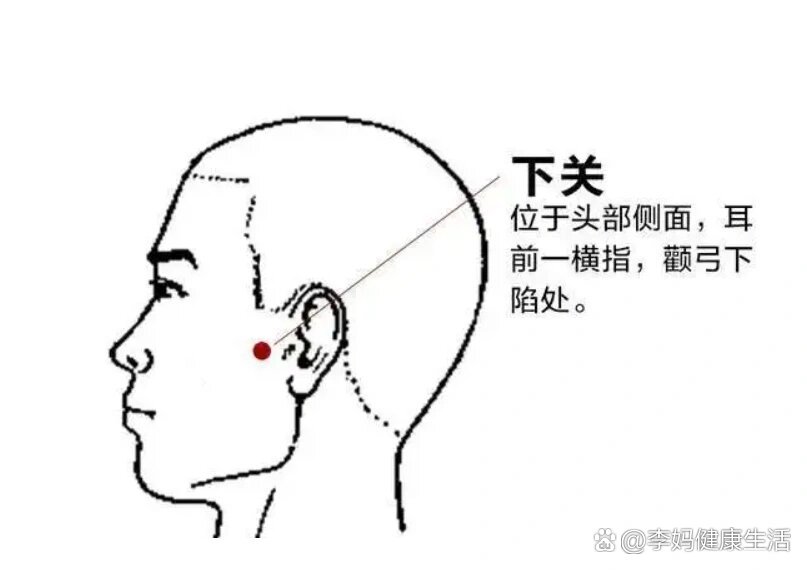 颞颌关节炎艾灸位置图图片