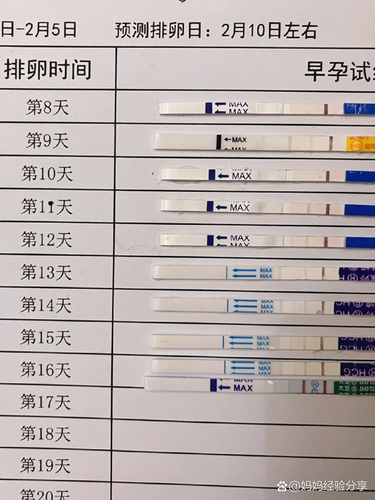 早孕试纸测试