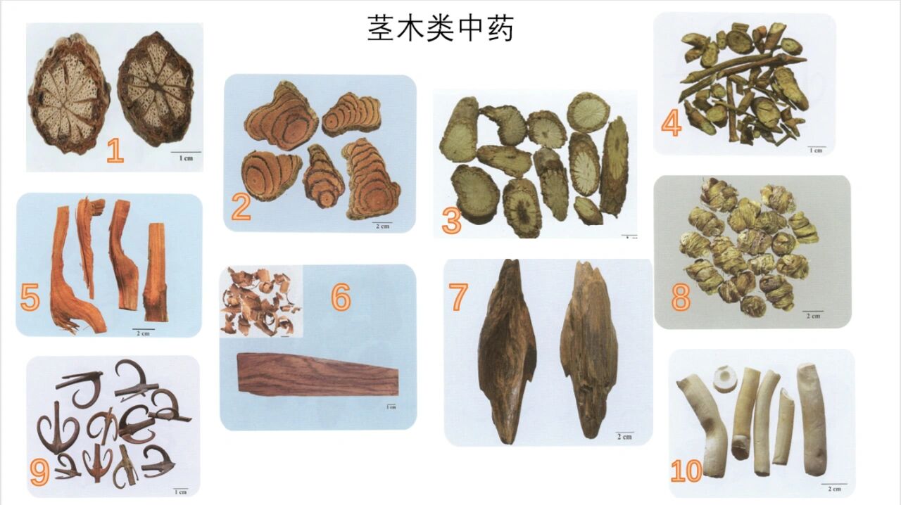 打卡中药一之茎木类中药
