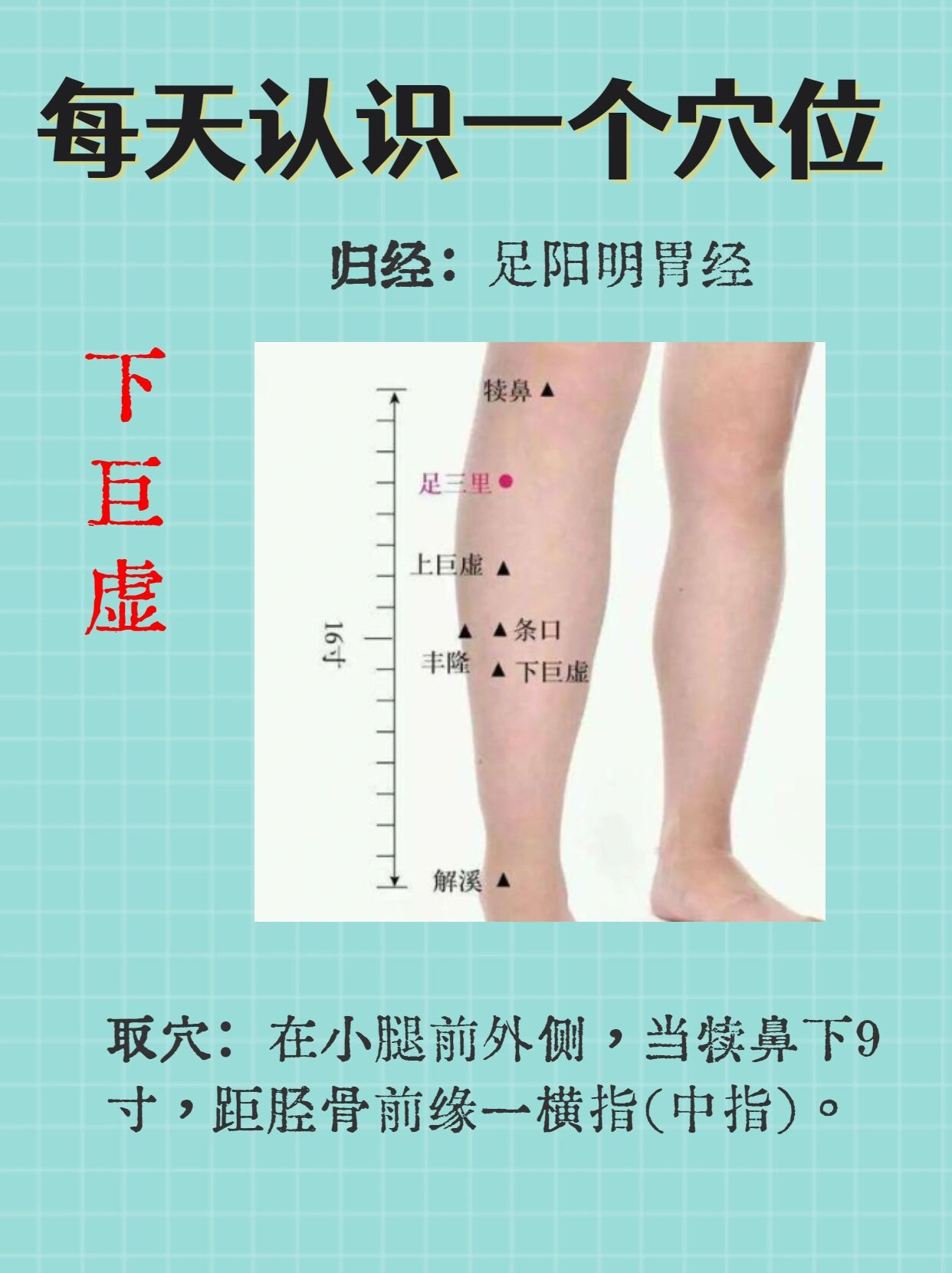下巨虚穴的功效和作用