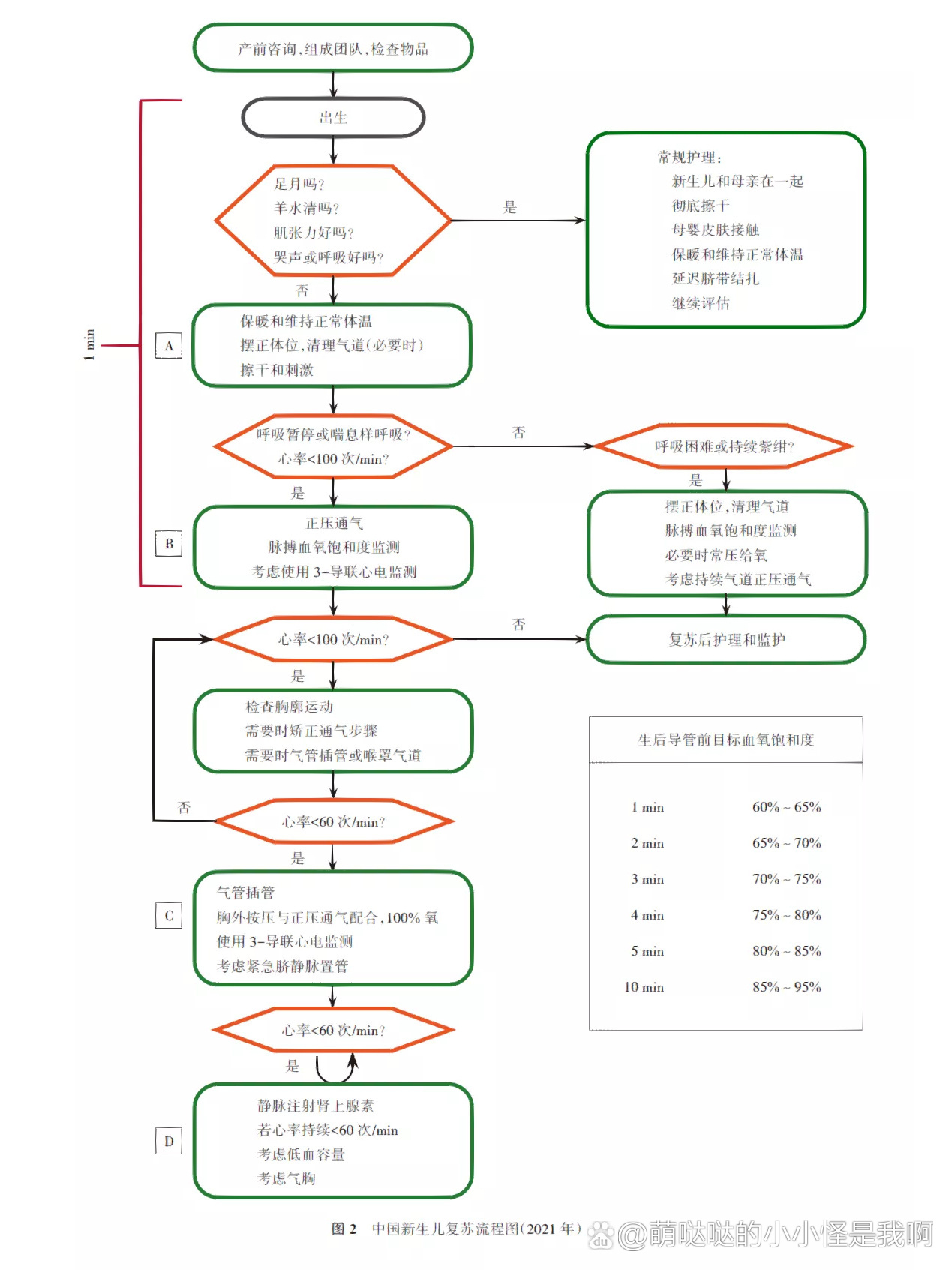 新生儿复苏流程2020图片