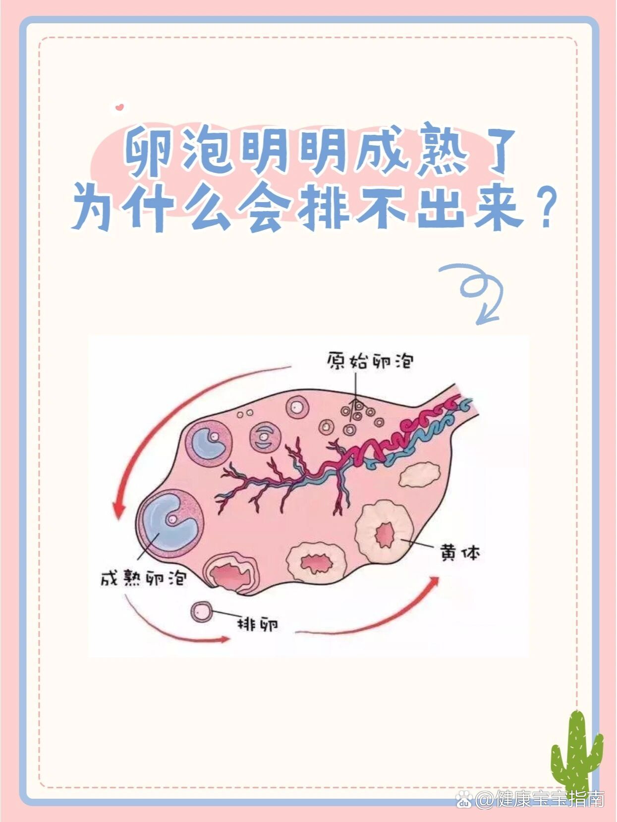 怎样知道卵子已经排出图片