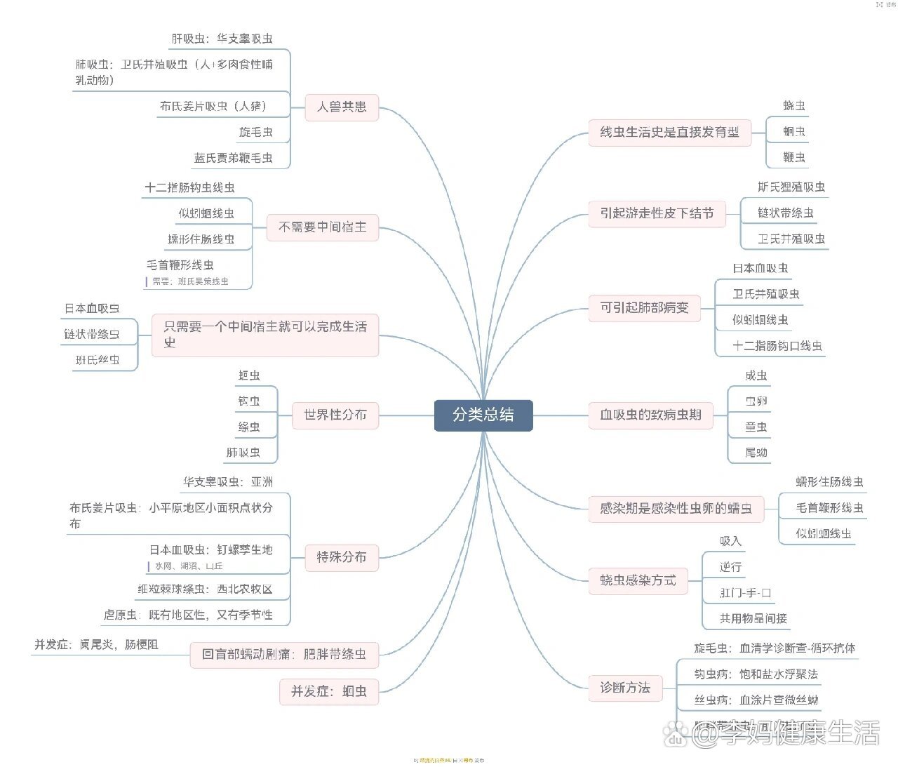 知识框架图人体科学图片