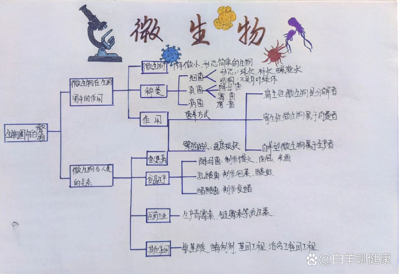 初中生物概念图17个图片