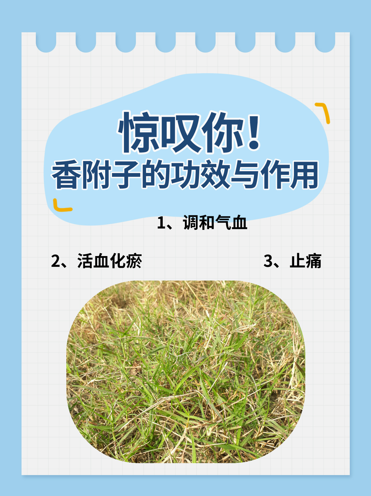 惊叹你!香附子的功效与作用